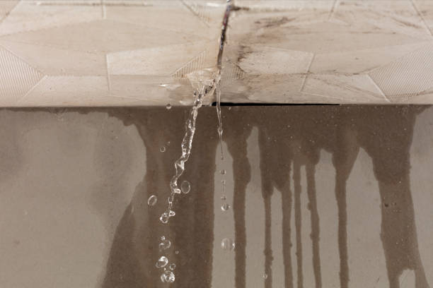 Professional Structural Drying technician working in Wright City, MO